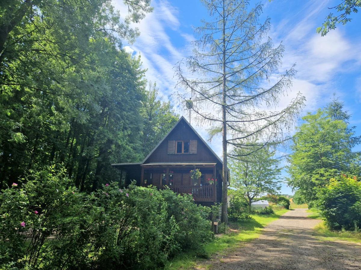 Chata Lucina Villa Horní Soběšovice Exteriör bild